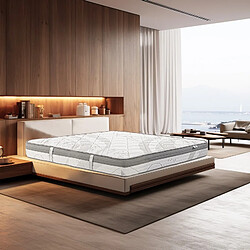 LUXURY LITERIE Matelas ViscoPlus, 26cm, mousse haute densité, ferme, indépendance du couchage, face été/hiver, 140x200cm