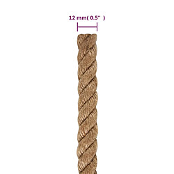 vidaXL Corde 100 % jute 12 mm 250 m pas cher