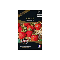 Sanrival Graines potagères premium fraise Grandian