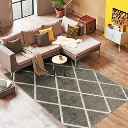 Thedecofactory DEHORS-DEDANS CROISILLE - Tapis pour intérieur-extérieur gris 160x230 pas cher