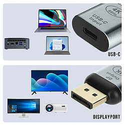 Acheter Avizar Adaptateur Vidéo USB-C femelle vers DisplayPort mâle Design Compact Gris