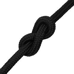 Acheter vidaXL Corde de bateau Noir complet 20 mm 100 m Polypropylène