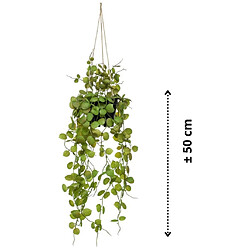 Acheter Emerald Plante artificielle suspendue Ceropegia 50 cm en pot