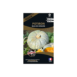 Sanrival Graines potagères premium potiron Bleu de Hongrie