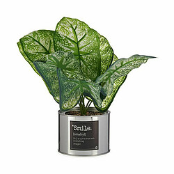 Ibergarden Plante décorative Caladium Métal Plastique 26 x 26 x 26 cm (6 Unités)