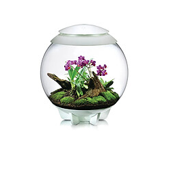 Acheter Terrarium décoratif 60l avec cadre blanc - Air 60 white - OASE