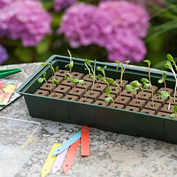 Avis Nature Kit de mini propagateur 4x16 cellules