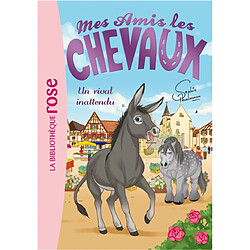 Mes amis les chevaux. Vol. 4. Un rival inattendu