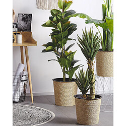 Beliani Plante artificielle YUCCA 90 cm