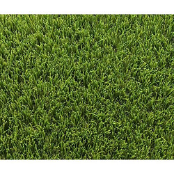 Gazon synthétique - EXELGREEN - 123103 - Park 40 mm - 1 x 5m