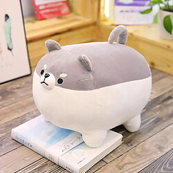 Universal 15,75 pouces en peluche caricaturé animal shiba inu jouet en peluche anime corgi mignon chien moelleux (gris)