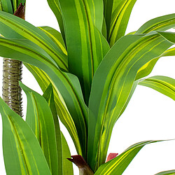 Avis Plante décorative Alexandra House Living Plastique Dracaena 180 cm