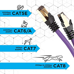 Acheter Duronic CAT8 PE Câble Ethernet 2 M Mauve | S/FTP paire torsadée écrantée et blindée | Bande passante 2GHz / 2000 MHz | Transmission des données 40 Gigabits | Connecteurs RJ45 en or avec manchon