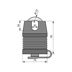 Avis Cadenas 012804 Thirard