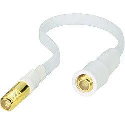 Avis Câble rallonge Renkforce RF-4127715 [1x F femelle - 1x F femelle] 0.20 m blanc