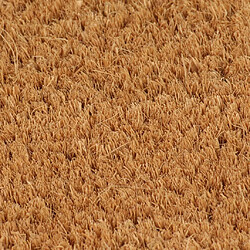 Avis vidaXL Tapis de porte naturel demi-rond 60x90cm fibre de coco touffeté