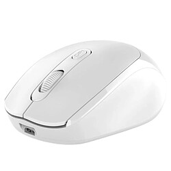 Souris sans fil rechargeable 24G 2.4G Bluetooth Souris optique ergonomique sans fil pour ordinateur portable