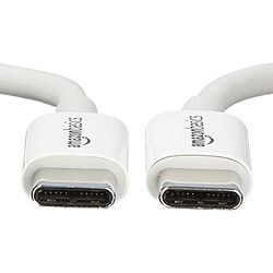 Basics USB 2.0 Type C to Type C Cable - 3 feet 0.9 Meters - White