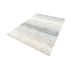 Avis Hadorn Tapis 300x240 gris clair Vevey