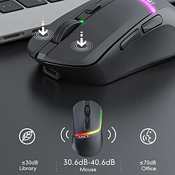 Yonis Souris Gaming Sans Fil Silencieuse RGB pas cher