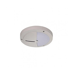 Luminaire Center Applique de jardin Daru 1 ampoule Sable blanc pas cher