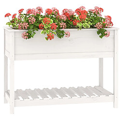 Acheter Maison Chic Jardinière,Bac à fleurs - pot de fleur avec étagère Blanc 111,5x54x81 cm Bois massif de pin -GKD12178