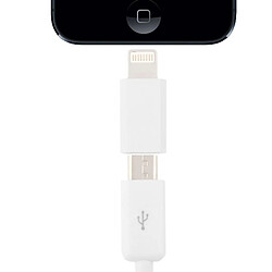 Wewoo Adaptateur blanc pour iPhone 6 & 6 Plus, 5 / iPod touch 5 / iPad mini / mini 2 Retina / 4 Micro 5 broches USB à charger & de transfert de données, adapté pas cher