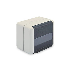 Prise réseau en saillie 2 ports Digitus Professional DN-93844-OD gris