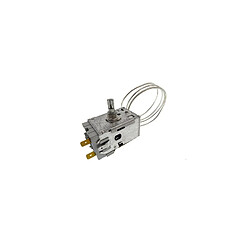 Acheter Fagor THERMOSTAT 077B6808