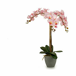 Ibergarden Plante décorative Orchidée Plastique 29 x 78 x 35 cm (2 Unités)