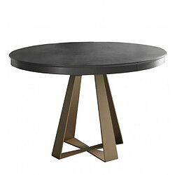 Inside 75 Table repas extensible DELIA 8 couverts 105/170x105cm pied métal bronze plateau céramique gris