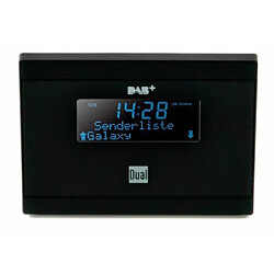 Def Jam Recordings Dual Radio DAB/DAB+ DAB 2 A-Radio (Import Allemagne)