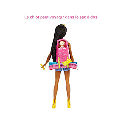 Mattel Poupée Barbie - Brooklyn au Camping avec son Chiot Rose