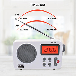 Acheter Universal AM FM Antenne Radio Numérique à Récepteur Portable Avec Ecran LCD Réveil Haut-parleur Pour Maison Extérieur | Radio