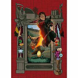 Ludendo Puzzle 1000 pièces - Harry Potter et la Coupe de Feu