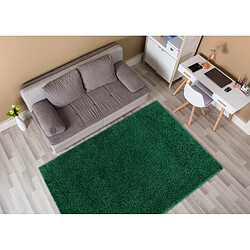 Acheter RUGSX Tapis SOFFI shaggy 5cm bouteille verte 140x190 cm