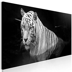 Artgeist Tableau - Shining Tiger (1 Part) Black and White Narrow [135x45]