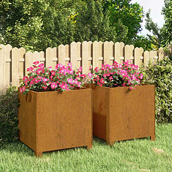 Maison Chic Jardinière,Bac à fleurs - pot de fleurs avec pieds 2 pcs Rouillé 42x40x43 cm Acier corten -GKD29278