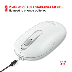 Acheter Yonis Souris Sans Fil Rechargeable Ultra-Silencieuse