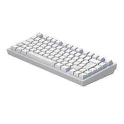 Avis Dark Project ALU Terra Nostra, Blanc - Clavier Mécanique Gaming ISO (DE)