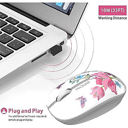 Acheter Universal M101 Souris sans fil 2,4 g de souris de voyage optique silencieuses mignonnes avec récepteur USB 1600dpi 3 boutons pour