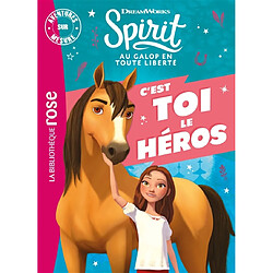 Spirit, au galop en toute liberté : c'est toi le héros