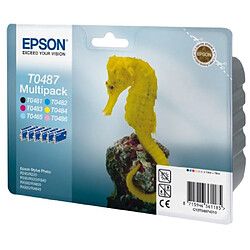 Epson Multipack T0487 Cartouche d'encre d'origine 1 x noir, jaune, cyan, magenta, magenta clair, cyan clair pas cher