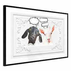 Paris Prix Affiche Murale Encadrée Conversation of Two Goats 30 x 20 cm Noir