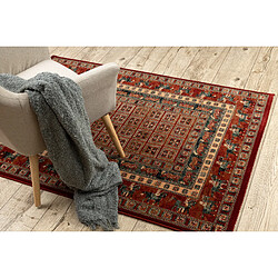 RUGSX Tapis en laine KASHQAI 4301 300 oriental, cadre terre cuite vert 240x340 cm pas cher