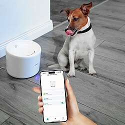 Avis Tellur Smart WiFi Fontaine pour animal, 2L, Blanc