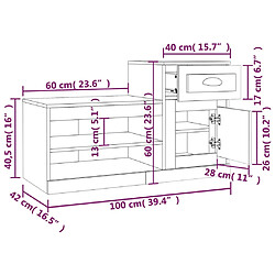 vidaXL Armoire à chaussures sonoma gris 100x42x60 cm bois d'ingénierie pas cher