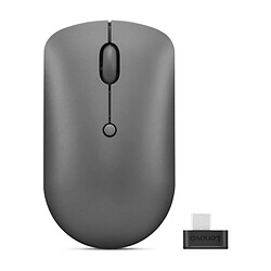 Souris sans fil compacte USB-C Lenovo 540 Gris