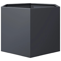 Acheter vidaXL Jardinière anthracite hexagone 69x60x45 cm acier