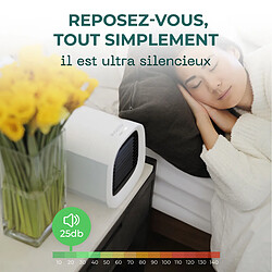 Acheter Evapolar evaCHILL Rafraichisseur d’Air Humidificateur Personnel à Évaporation, Grise